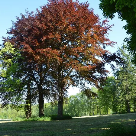 Holiday home Pleasant Fermette With Outdoor Swimming Pool, Near Durbuy